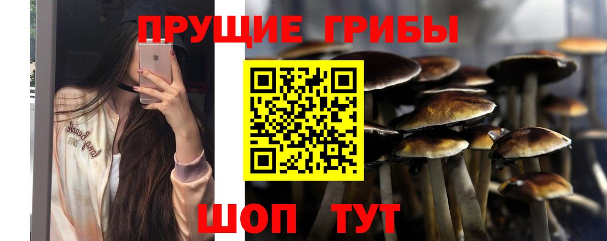 Псилоцибиновые грибы мицелий Чехов